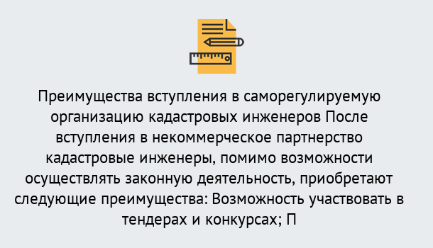 Почему нужно обратиться к нам? Ступино Что дает допуск СРО кадастровых инженеров?