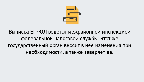 Почему нужно обратиться к нам? Ступино Выписка ЕГРЮЛ в Ступино ?