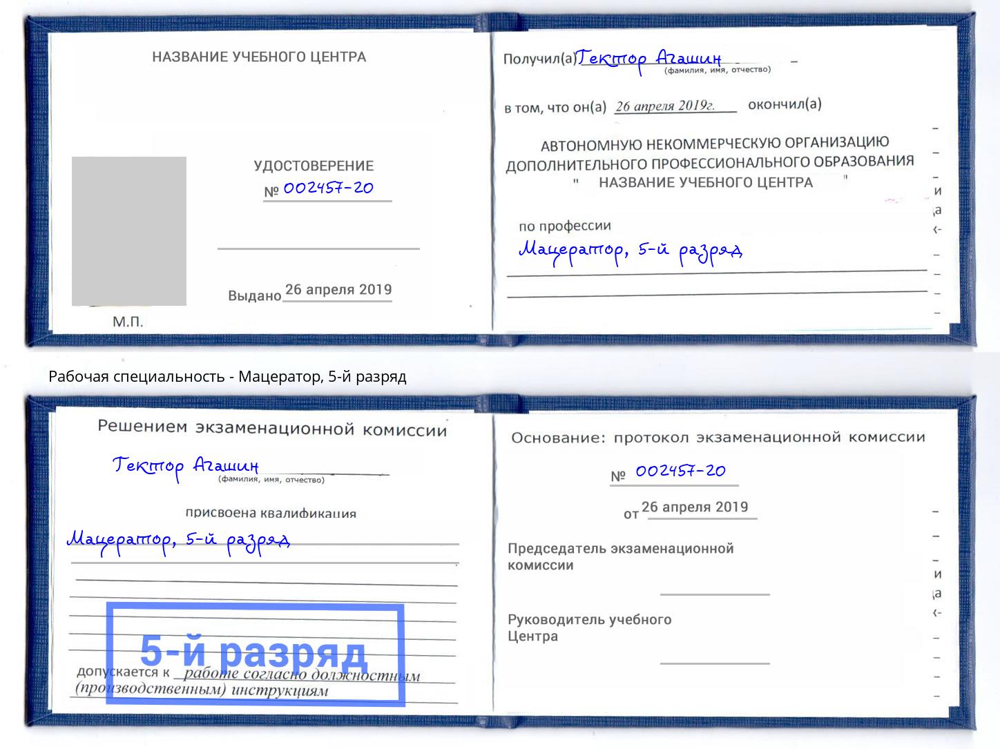 корочка 5-й разряд Мацератор Ступино