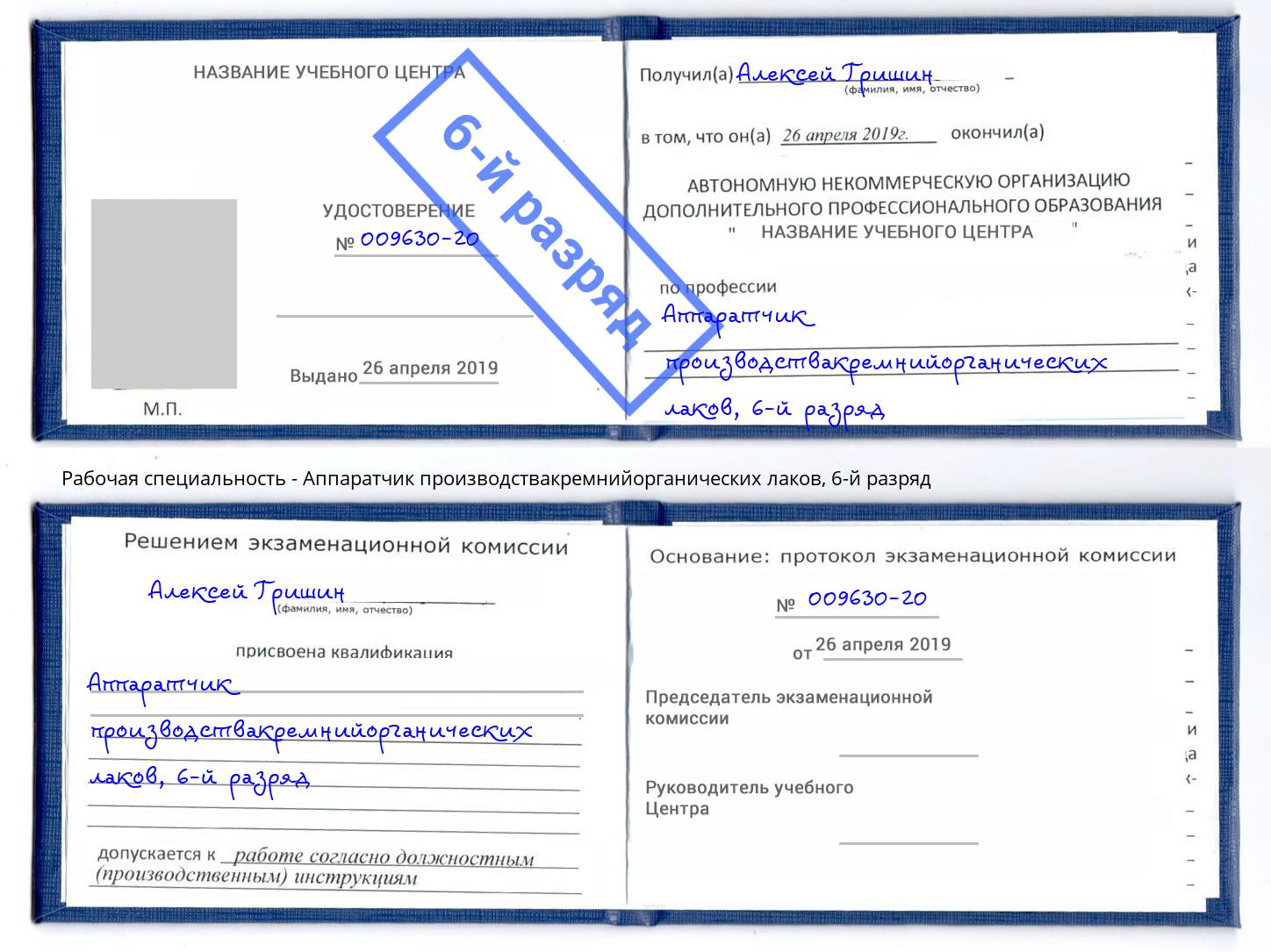 корочка 6-й разряд Аппаратчик производствакремнийорганических лаков Ступино